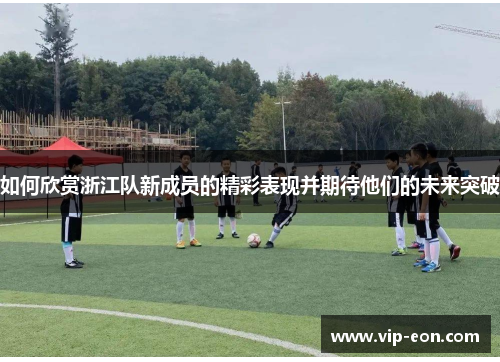 如何欣赏浙江队新成员的精彩表现并期待他们的未来突破